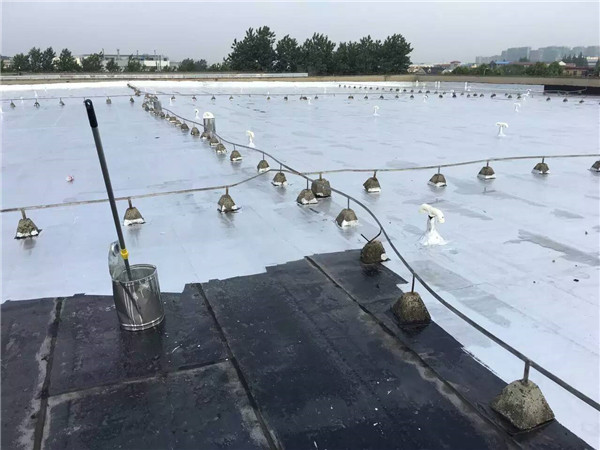 防水防腐
