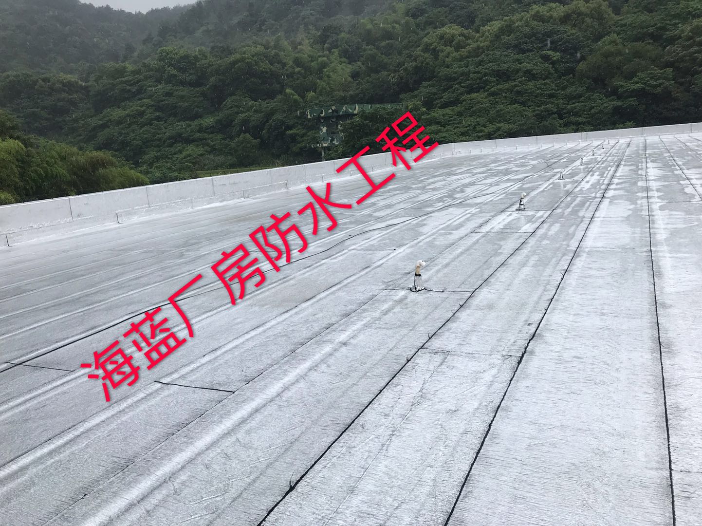 屋面防水