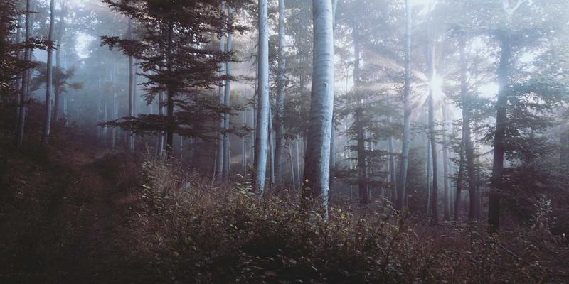 从婚礼殿堂到财产分割：天津夫妻必读的共同财产法律指南