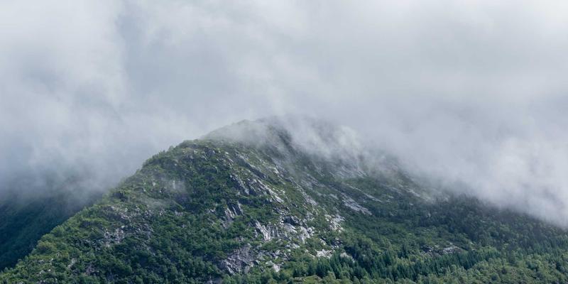天津婚姻登记全攻略：从预约到领证，附婚礼布置与礼仪筹备指南