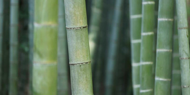 天津婚礼新风尚:仪式环节创新设计,在庄重与个性间找到完美平衡