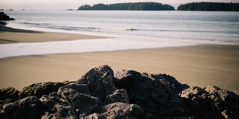 天津新婚夫妻购房攻略：从婚庆服务到首套房资格，一站式解析政策与优惠
